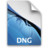 PS DNGFileIcon Icon